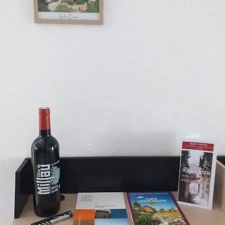 Tatil Evi Avec Grande Terrasse Peyreleau
