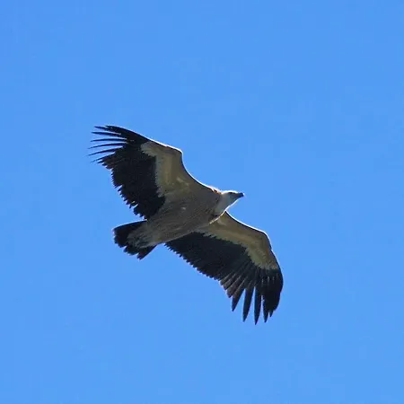Avec Grande Terrasse Σπίτι διακοπών *